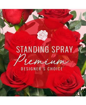 STANDING SPRAY
