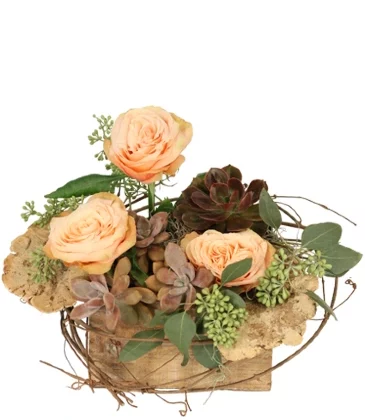 Tranquil Grove House Plant