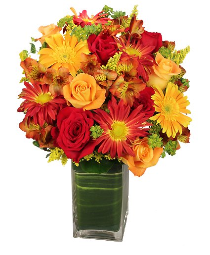 Colorful Canvas Arrangement - Image 2