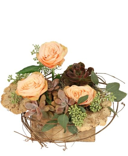 Tranquil Grove House Plant - Image 2